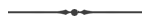 Section break short logo